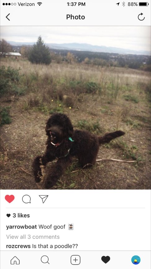 When Teresa called me