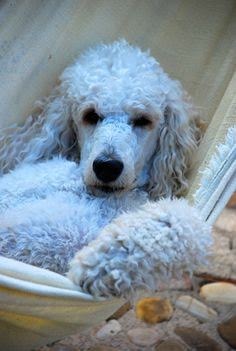 When Teresa called me