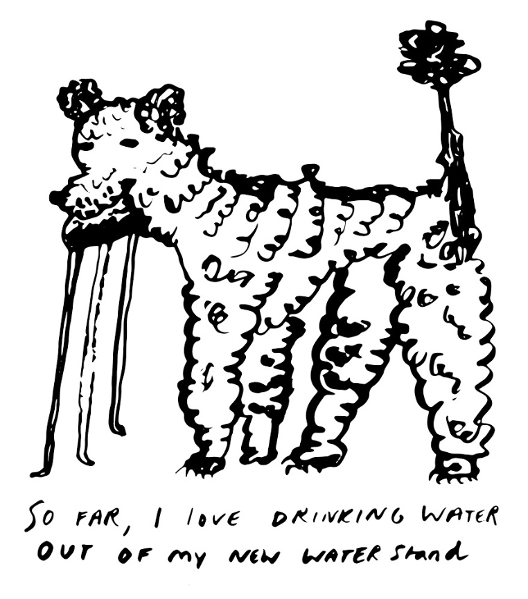 When Teresa called me