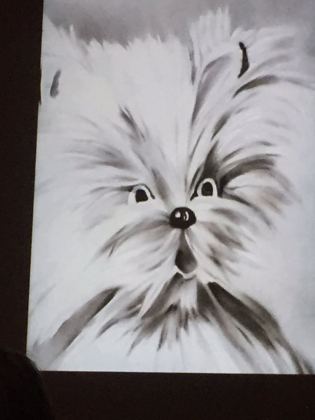 When Teresa called me