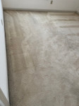What Are Those Ugly Black Lines on My Carpet?