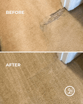 Did Your Dog Eat Your Carpet? A Patch Insert Can Fix It