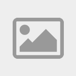 48320 Global Zibster Logo