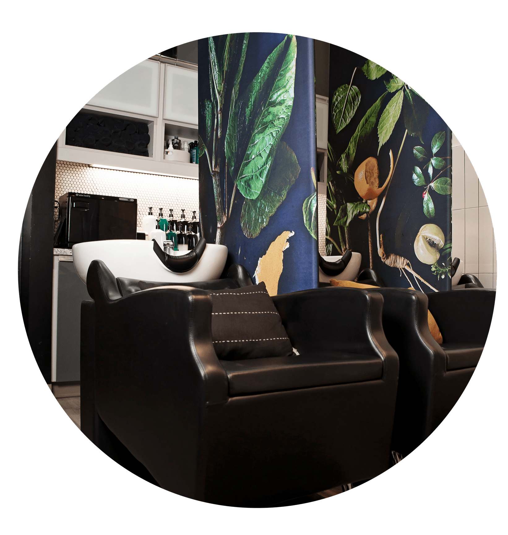 Hair Design, Coloring & Highlights Greensboro, NC Jade Salon